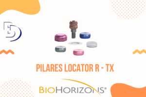 Pilares Locator R – TX
