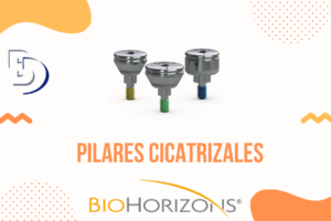 Pilares Cicatrizales